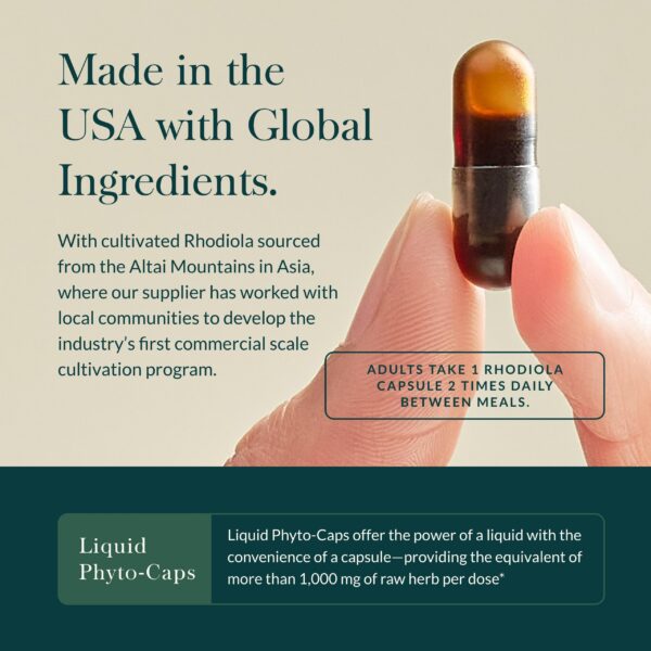 Rhodiola Rosea apoyo al estrés y resistencia física Gaia Herbs USA