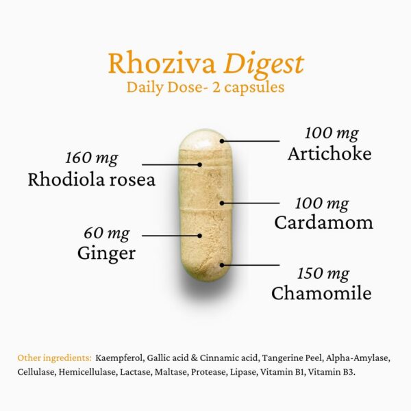 Detalle de ingredientes en etiqueta