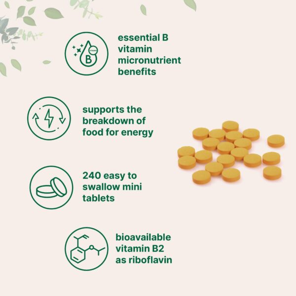 Tabletas mini de vitamina B2 400 mg