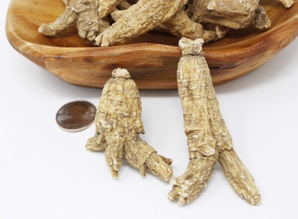 Rodajas de ginseng americano para té y cocina