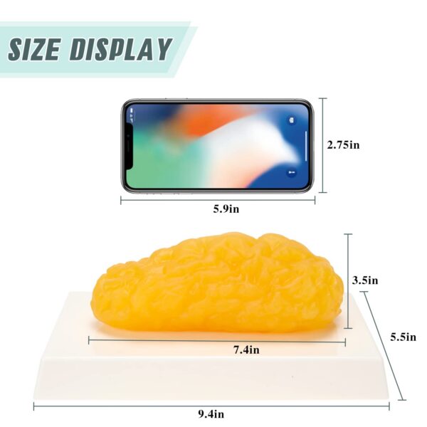 Figura detallada del tejido adiposo