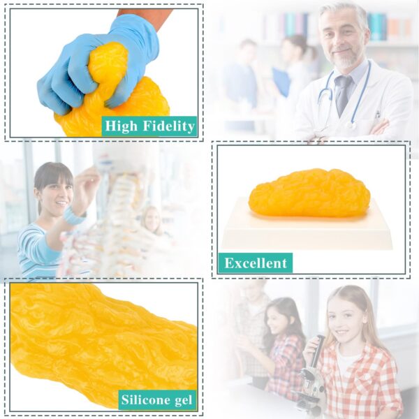 Tamaño comparativo con referencia