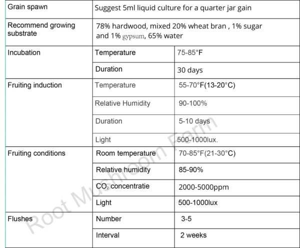 Envase de cultivo líquido Root Mushroom Farm