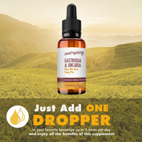 Version 1.0.0 Botella con gotero de tintura concentrada herbal root plus spring
