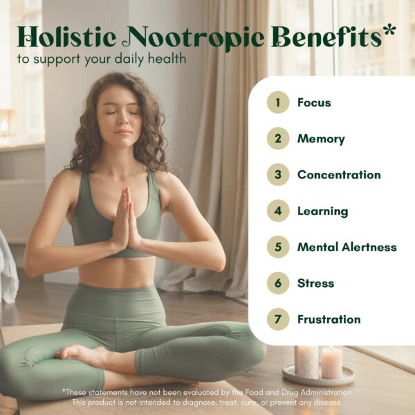 Version 1.0.0 Etiqueta trasera Alpha Focus