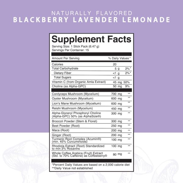 Version 1.0.0 Raíz Focus con melena de león y cordyceps Silver Star Nutrition