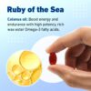 Etiqueta Ruby of the Sea omega-3 astaxantina