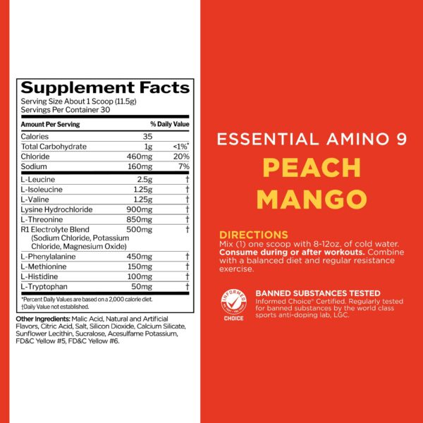 Caja y frasco de Rule1 Essential Amino 9