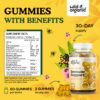 Sabor banana gomitas Wild & Organic veganas