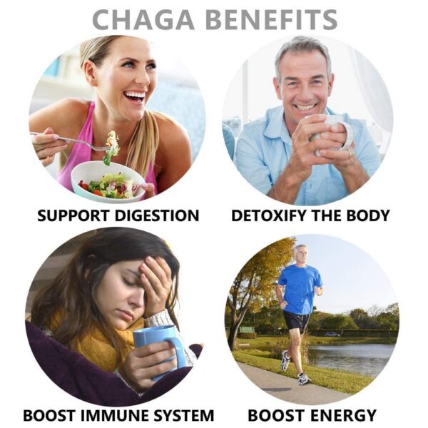 Sabor vibrante de café con extractos de chaga y reishi