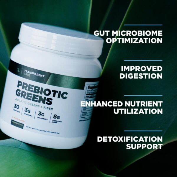 Saco suplemento Transparent Labs Prebiotic Greens con antioxidantes