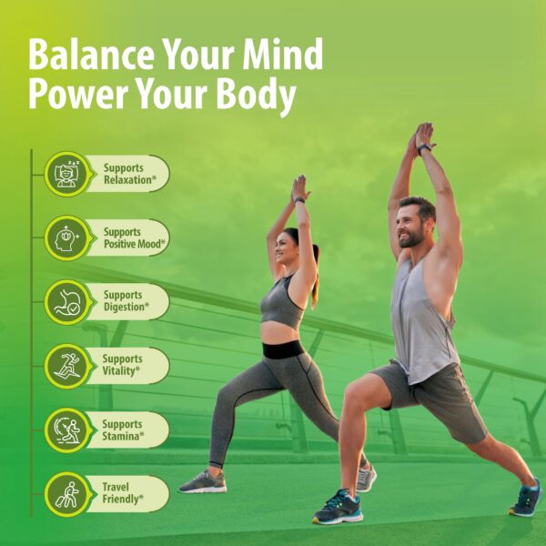 Version 1.0.0 Detalles de etiqueta Sainebio magnesio nano limón-lima