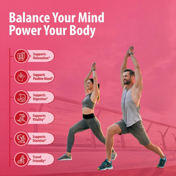 Sainebio nano magnesium powder sobres