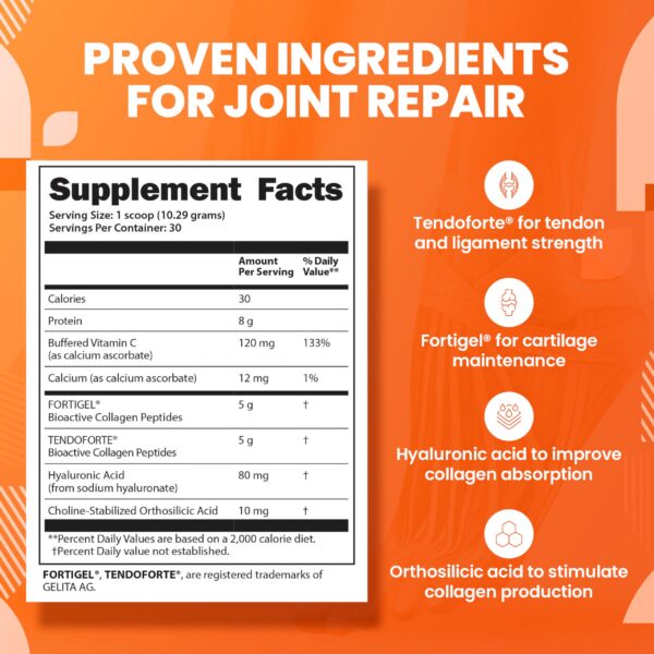 Polvo de colágeno SaltWrap sin sabor