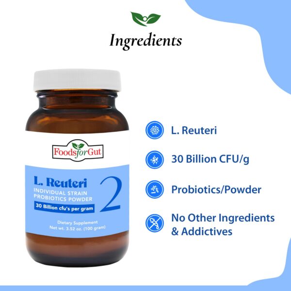 Alimento saludable con polvo probiótico Foods For Gut