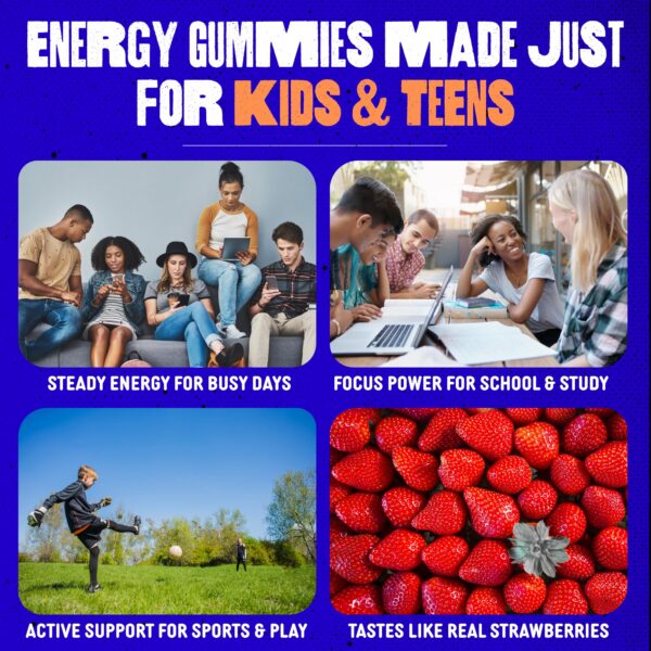 Version 1.0.0 Detalle de lista de ingredientes SAMLEO