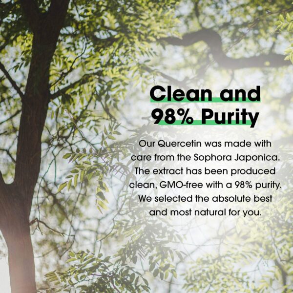 Contenido en polvo de quercetina