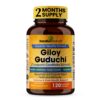 Frente del envase Sandhu Giloy Guduchi 120 cápsulas