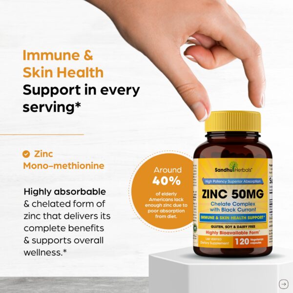 Version 1.0.0 Etiqueta frontal de zinc Sandhu Herbals