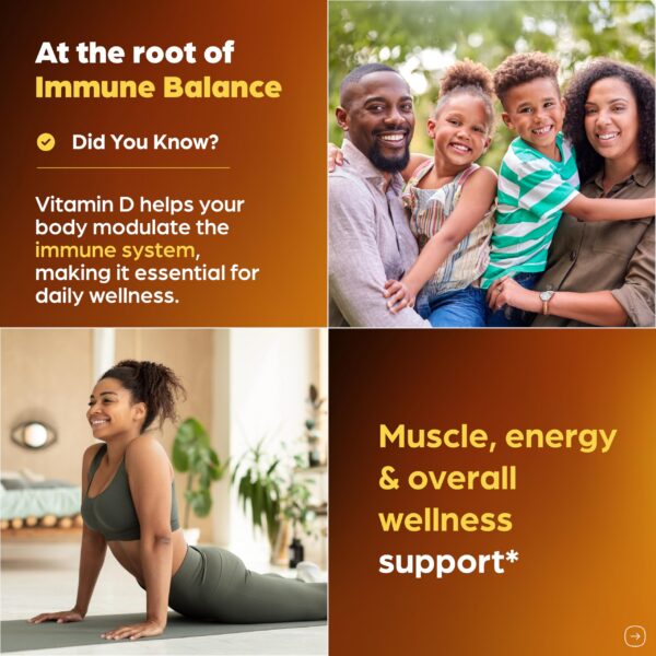 Envase y caja del producto Sandhu's