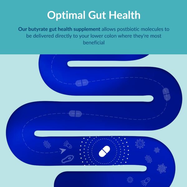 Presentación del paquete