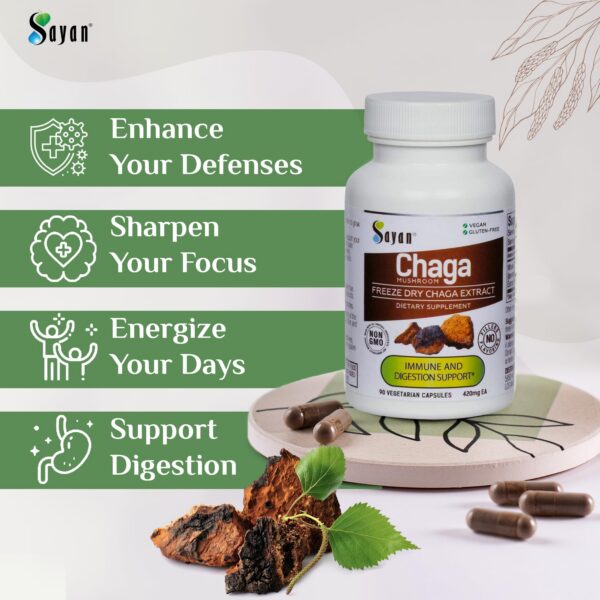 Sayan chaga extracto natural antioxidante bienestar y energía