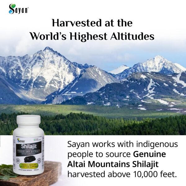 Shilajit Sayan cápsulas detalle