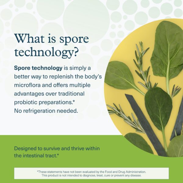 Scoop polvo Youtheory probiótico spore vegano blanco