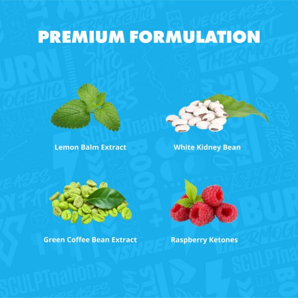 Version 1.0.0 Vista lateral de la etiqueta Burn PM