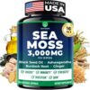 Frasco de cápsulas Sea Moss con ingredientes naturales para salud