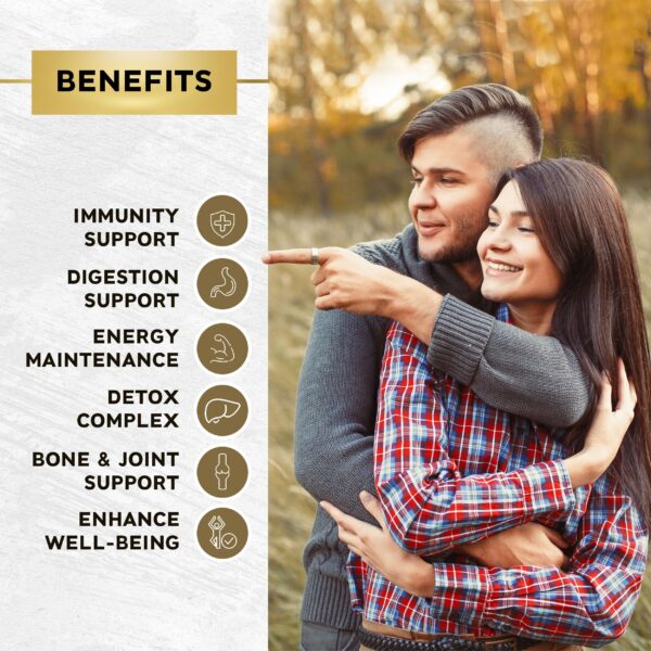 Sea Moss JB Wellness Co empaque interior