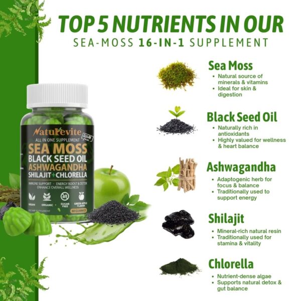Frascos Sea Moss Gummies con aceite de semilla negra