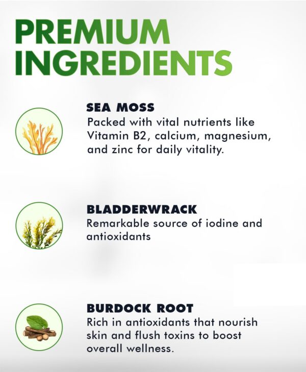 Version 1.0.0 BIO VITALICA gomitas Sea Moss textura y color