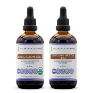 Version 1.0.0 Secrets of the Tribe extracto hoja de leon etiqueta frontal