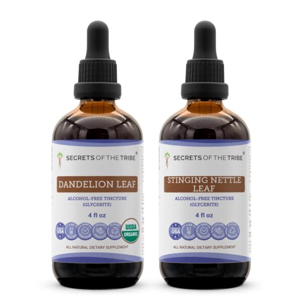 Secrets of the Tribe extracto hoja de leon etiqueta frontal