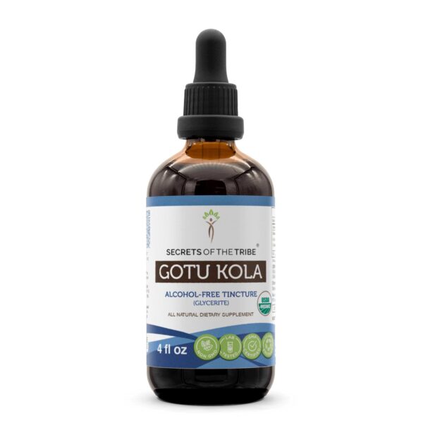 Secrets of the Tribe Gotu Kola extracto herbal orgánico en gotero