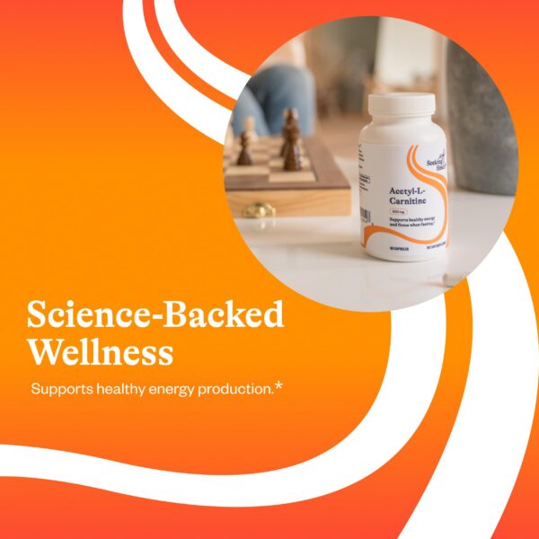 Cápsula de acetil-L-carnitina