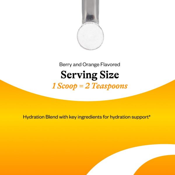 Seeking Health porciones de contenido