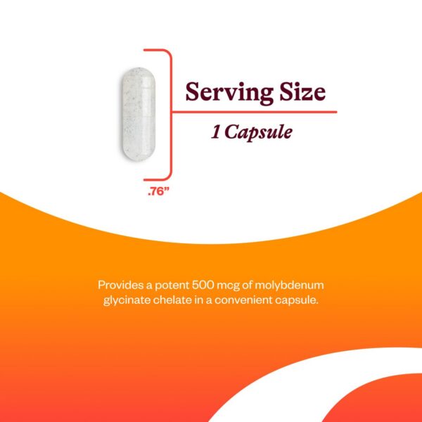 Interior de la caja y cápsulas