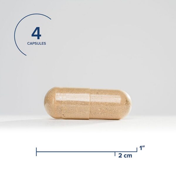 Seeking Health Optimal Man multivitamínico ingredientes clave