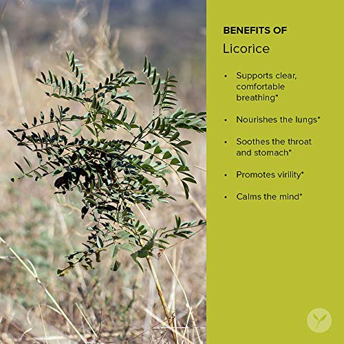 Sello de certificación orgánico USDA en polvo regaliz