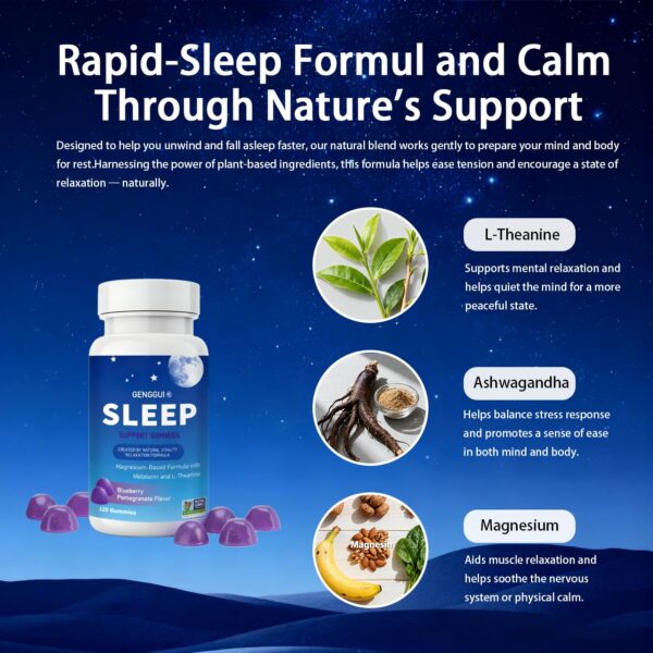 Version 1.0.0 Etiqueta y logotipo de SERSANVE en la caja