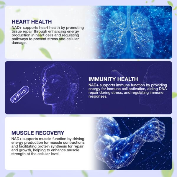 Etiqueta con ingredientes