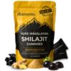 Version 1.0.0 Gomitas SHILAHEAL Shilajit Himalayan frasco