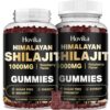 Version 1.0.0 Gomitas shilajit frambuesa 1000 mg frente