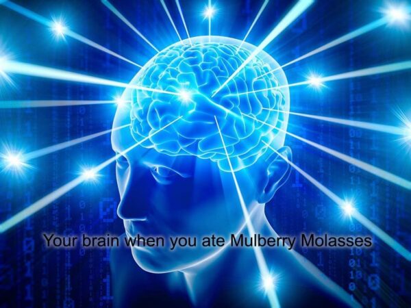 Version 1.0.0 Corte de resina shilajit Himalaya