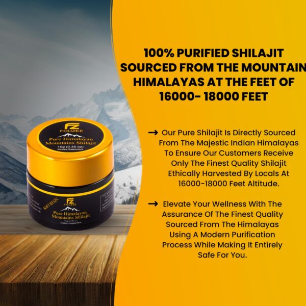 Shilajit Himalaya para vitalidad y soporte inmunológico