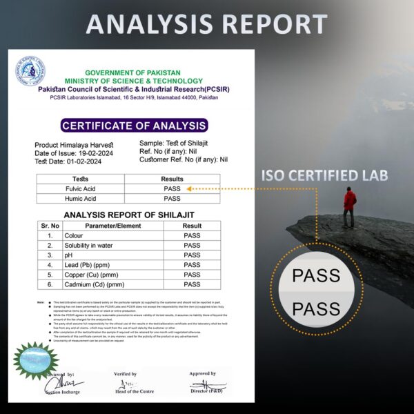 Shilajit pura apoyo para energía y detox