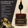 Etiqueta con minerales de Shilajit resin