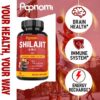 Version 1.0.0 Shilajit suplementación mineral y nutrientes del Himalaya